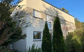 Les sapins verts -inspiration deluxe